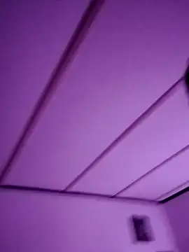 j hollywood91 online show from 14, 11, 2025