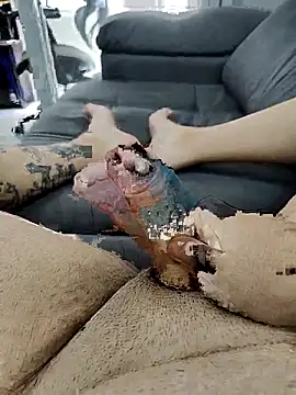 pete 97 online show from 21, 9, 2025