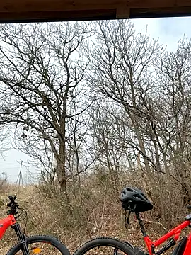 petrouchkaaa  online show from 2, 3, 2026