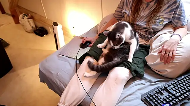 xxpixeyxx online show from 29, 11, 2025