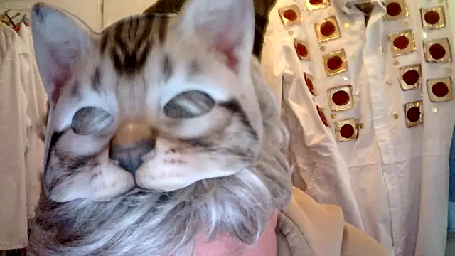 Snapshot of Sigorius chatting on 6, 3, 2026 Sigorius online show from 6, 3, 2026