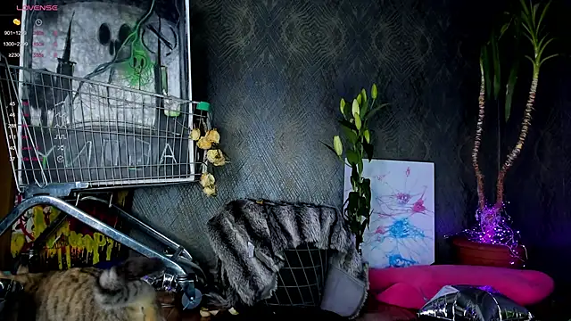 Snapshot of little_grinch666 chatting on 30, 1, 2025 little grinch666 online show from 30, 1, 2025