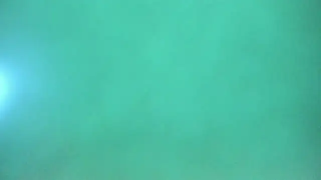 Harleysexycrazy online show from 12, 12, 2024