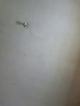 Ricorryxh online show from 14, 12, 2024