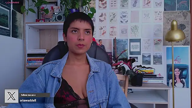 Yeriawaddell  online show from 22, 6, 2026