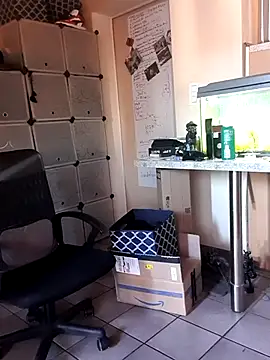 Snapshot of Hippiep chatting on 2, 3, 2025 Hippiep online show from 2, 3, 2025