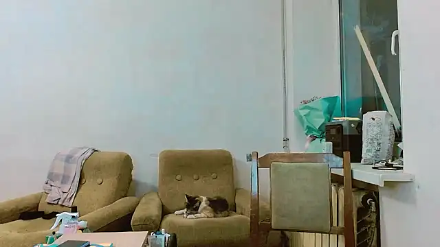 Snapshot of RosaJil chatting on 28, 2, 2025 RosaJil online show from 28, 2, 2025