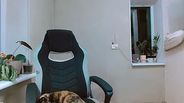 Snapshot of RosaJil chatting on 1, 11, 2025 RosaJil online show from 1, 11, 2025