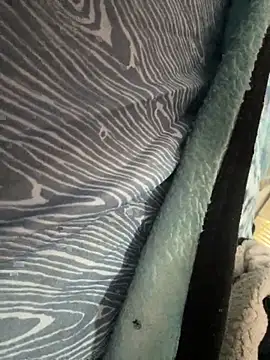 Followthepiper online show from 10, 11, 2025