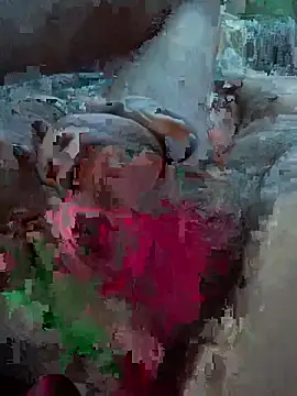 Snapshot of Followthepiper chatting on 27, 2, 2026 Followthepiper online show from 27, 2, 2026