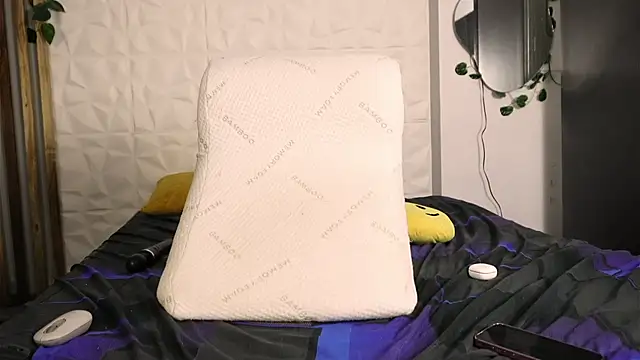 argiee taylorxs2 online show from 27, 12, 2024