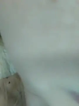 Elza kom online show from 1, 3, 2025