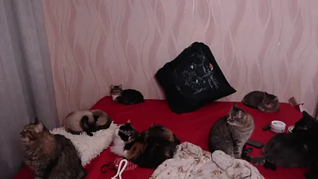 Olivia Winston online show from 28, 12, 2024