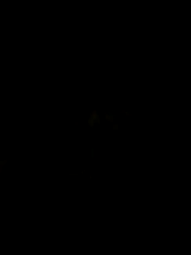 Ghotsniper666 online show from 8, 10, 2025