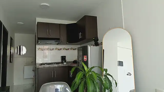 grey   27 online show from 10, 3, 2025