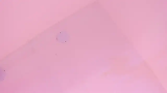 Snapshot of LoveQueen2 chatting on 6, 1, 2026 LoveQueen2 online show from 6, 1, 2026