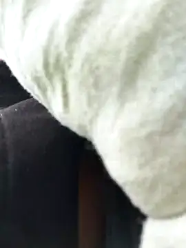 Emily Wane online show from 24, 2, 2026