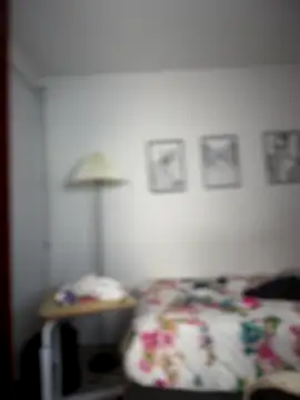 horny roomiess online show from 25, 11, 2025