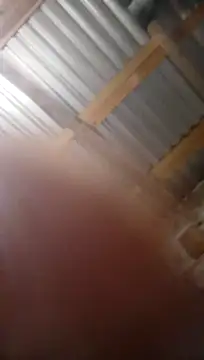 Moreno1813 online show from 5, 11, 2025