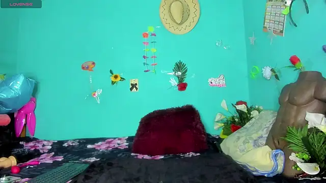 SheraHadee online show from 28, 2, 2026