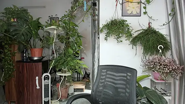 Oliver Nl online show from 27, 3, 2026