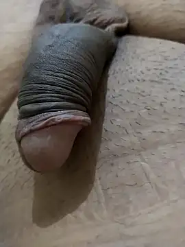 Dog546i online show from 8, 9, 2025