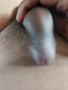 Dog546i online show from 20, 9, 2025