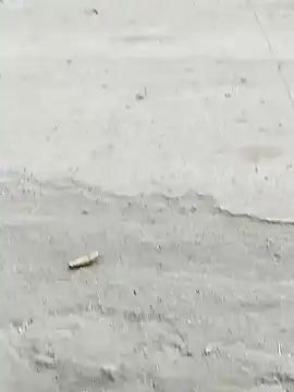 Monster Bigdick online show from 7, 12, 2024