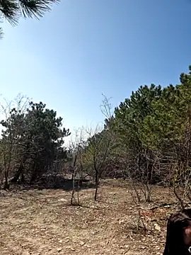 -Pupsiki- online show from 13, 3, 2026