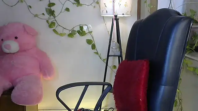 Black cat cutie online show from 29, 6, 2026