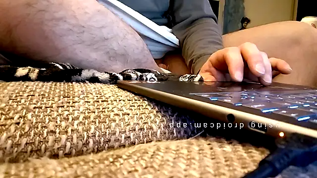 Pegg-fist-me online show from 8, 4, 2026