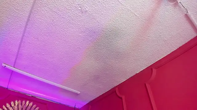 Red lady online show from 27, 3, 2026