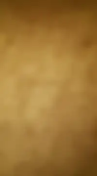 vinzpnr210 online show from 15, 1, 2025