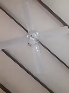 Snapshot of TuBandi2 chatting on 11, 11, 2025 TuBandi2 online show from 11, 11, 2025