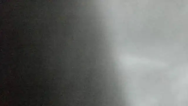 canela wet online show from 2, 2, 2025