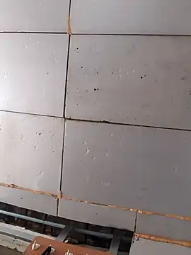 Boysex227 online show from 27, 3, 2026