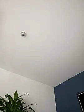 SilvaBranko online show from 2, 11, 2025