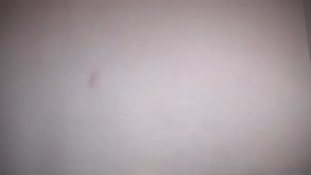 Osiiriis online show from 12, 2, 2025