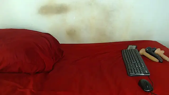 Snapshot of FAT_ASS27 chatting on 30, 4, 2026 FAT ASS27 online show from 30, 4, 2026