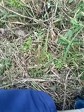 Nkumar173 online show from 8, 11, 2025