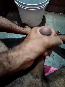 Snapshot of Jack31531 chatting on 3, 11, 2025 Jack31531 online show from 3, 11, 2025