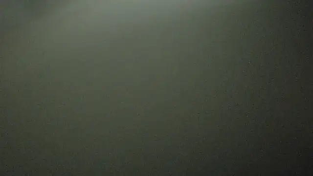 Armyexhibitionistvet online show from 3, 10, 2025