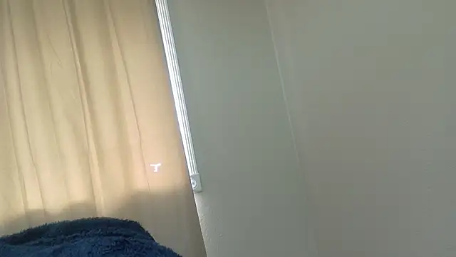 Armyexhibitionistvet online show from 26, 2, 2026