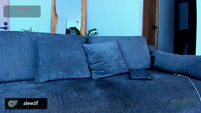 alex wolf  online show from 28, 11, 2025