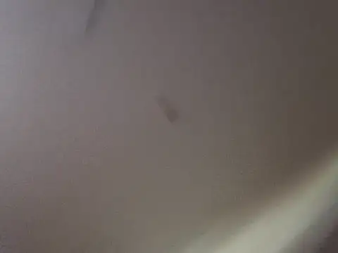 Snapshot of Gin4Cole chatting on 25, 9, 2025 Gin4Cole online show from 25, 9, 2025