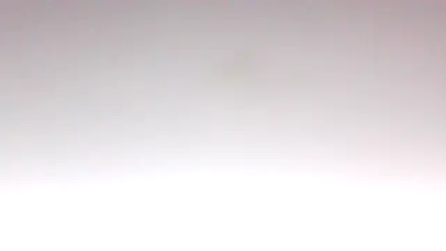 kikkastar online show from 18, 12, 2025