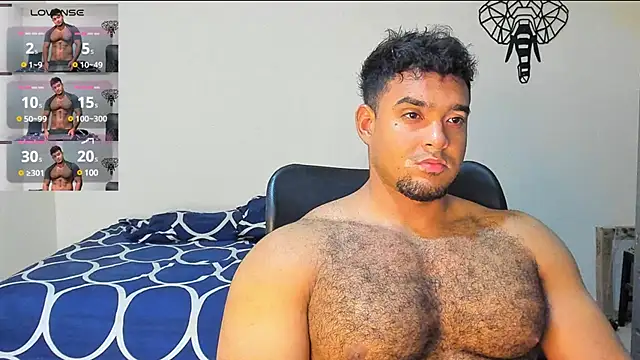 Big furry bear13 online show from 13, 12, 2024