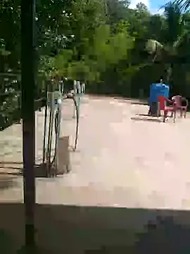 Mafiya1604 online show from 25, 9, 2025