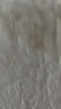 Snapshot of Ishikarana chatting on 8, 10, 2025 Ishikarana online show from 8, 10, 2025