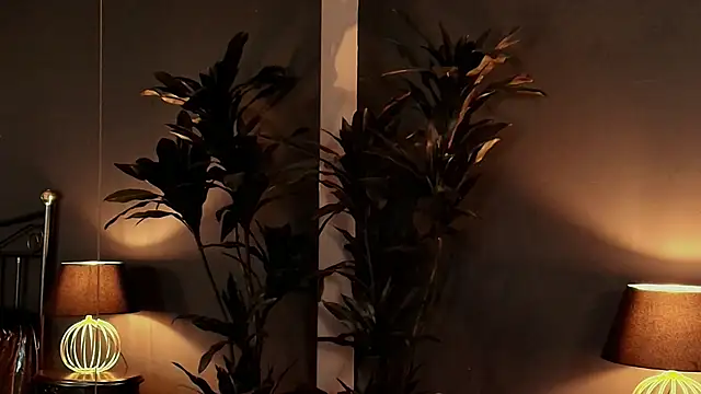 MyMayte online show from 15, 1, 2025